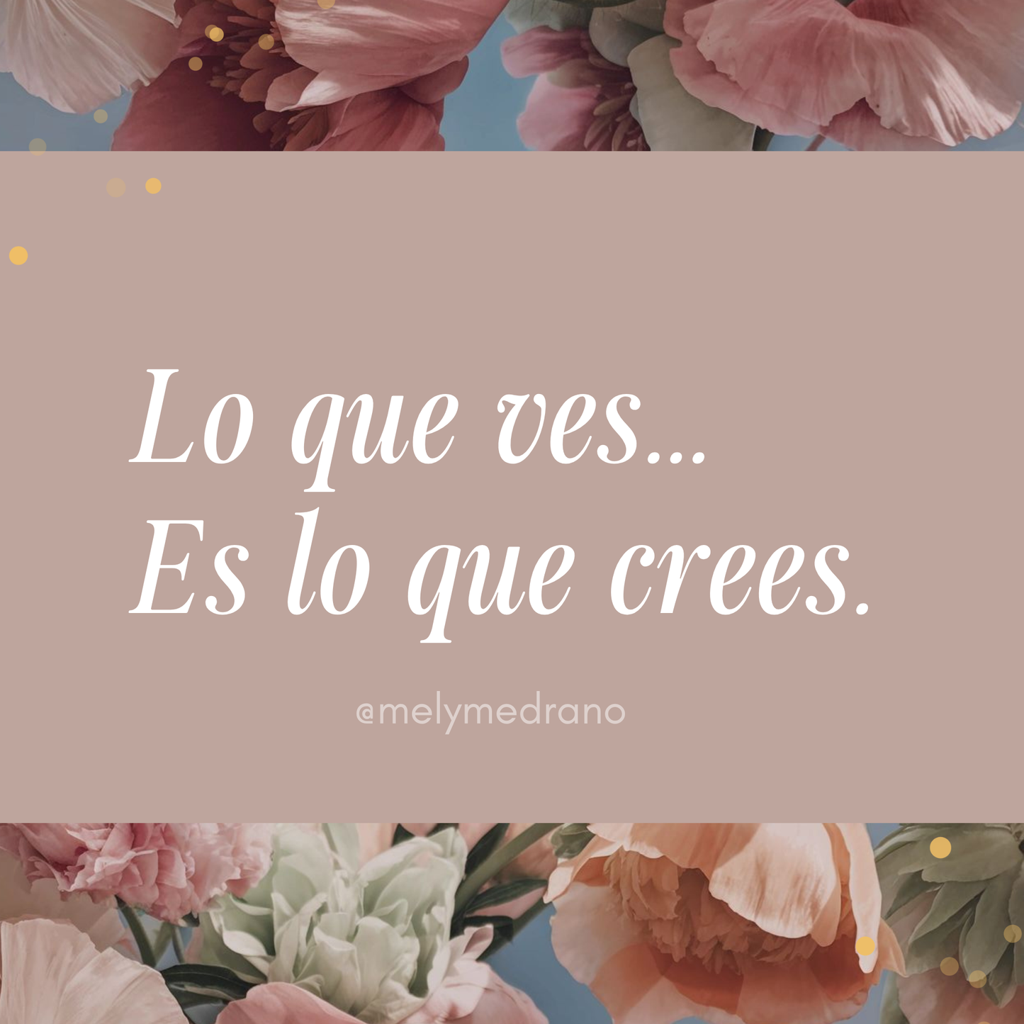 “Lo que ves, es lo que crees.”